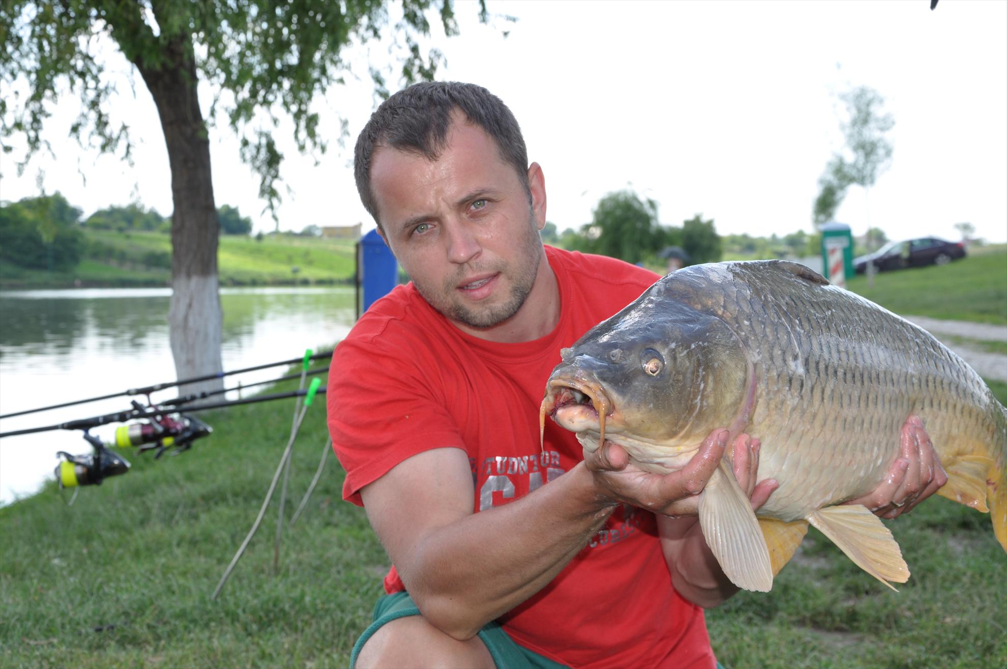 MV 2/3- 09/06/2013 - dsc0049.JPG